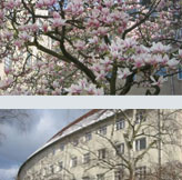 Wohnungen Berlin grün